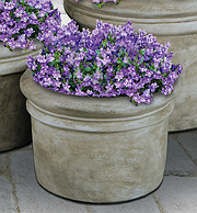 Small Rolled Rim Planter