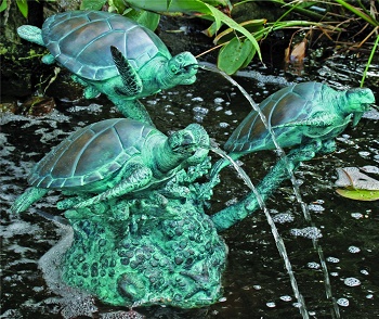 Three Turtles on Coral